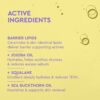 RecoveryOil_3.jpg Hydrating Recovery Oil